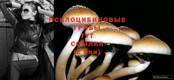 скорость Богданович