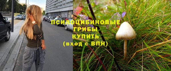 скорость Бронницы