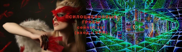 скорость Бронницы